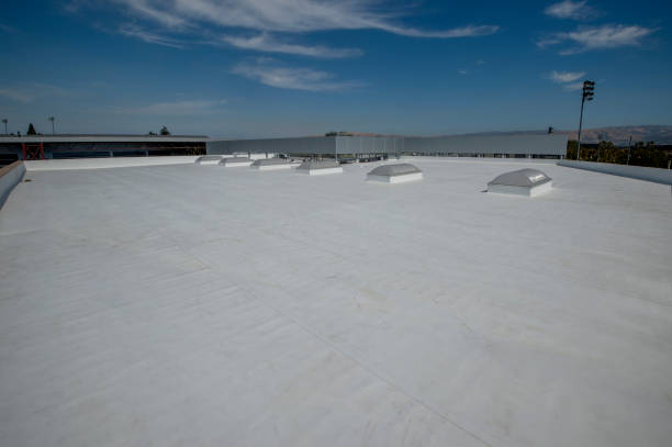 Best Roof Ventilation Installation  in Pistakee Highlands, IL