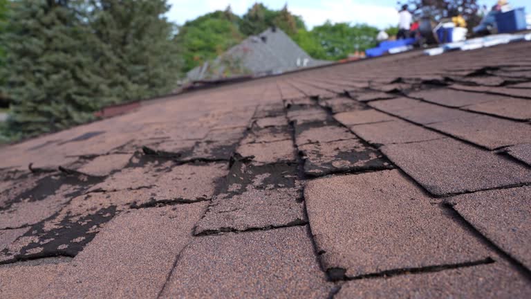  Pistakee Highlands, IL Roofing Service Pros