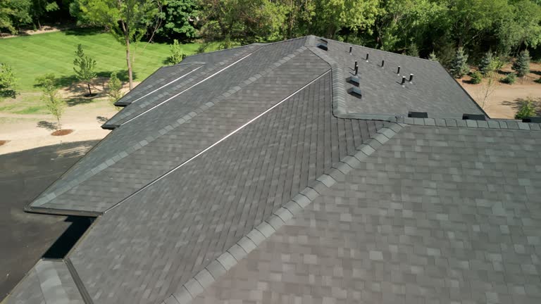 Best Skylight Installation and Repair  in Pistakee Highlands, IL