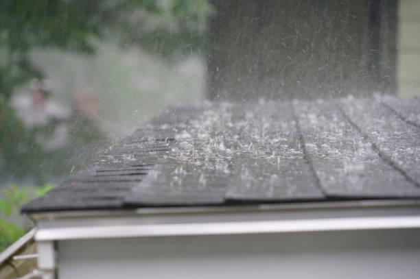 Reliable Pistakee Highlands, IL Roofing Service Solutions