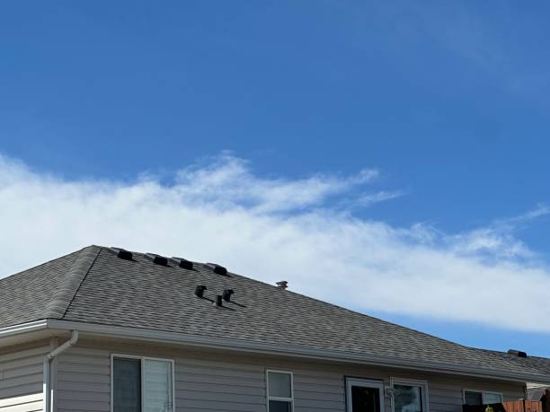 Best Green or Eco-Friendly Roofing Solutions  in Pistakee Highlands, IL